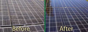 SOLAR PANEL CLEANING